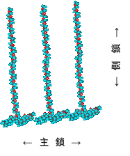 図1　ポリカルボン酸の構造の一例 img