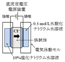 図-1　電気泳動セルと通電時の状況の例 img