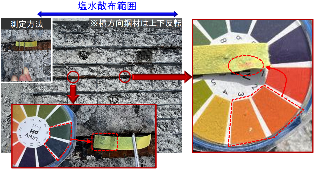 図-4　鉄筋下面と接触していたコンクリート面における塩化物イオン分布 img